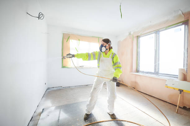 Best Black Mold Removal  in Glenvar Heights, FL